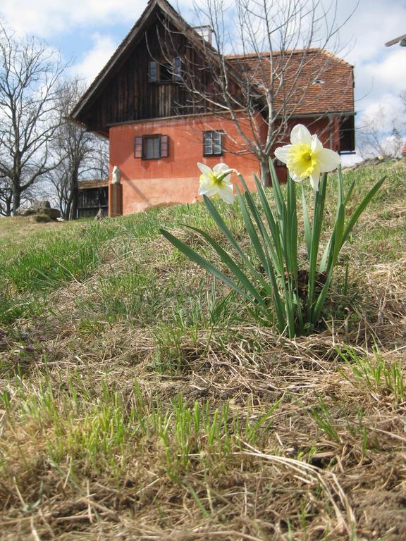 Ferienwohnungen Sonnenberg Ratsch an der Weinstraße Esterno foto